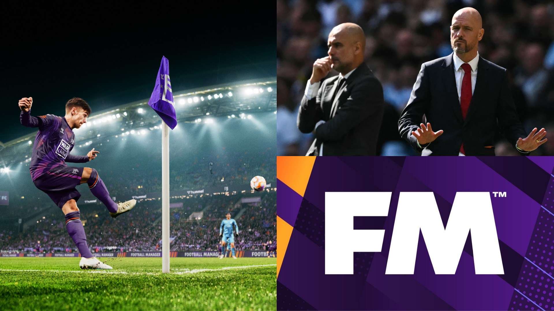 对话弗兰克：没人看好浙江队，我们只需放松享受决赛时刻